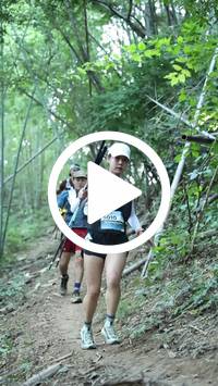 BIB:  <button type="button" onclick="openModal(28038854)" class="btn btn-primary btn-sm float-right" data-toggle="modal" data-target=".modal-high-quality">
                <i class="fa fa-download"></i> Download
                </button>